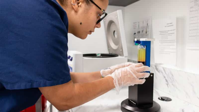 Adult Stem Cell Therapy: 21st Century Orthopedics 1 regenerative medicine stem cell therapy prp